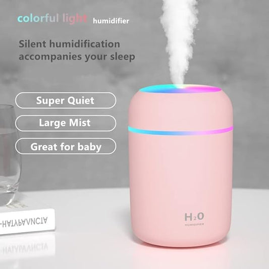 H2O Humidifier