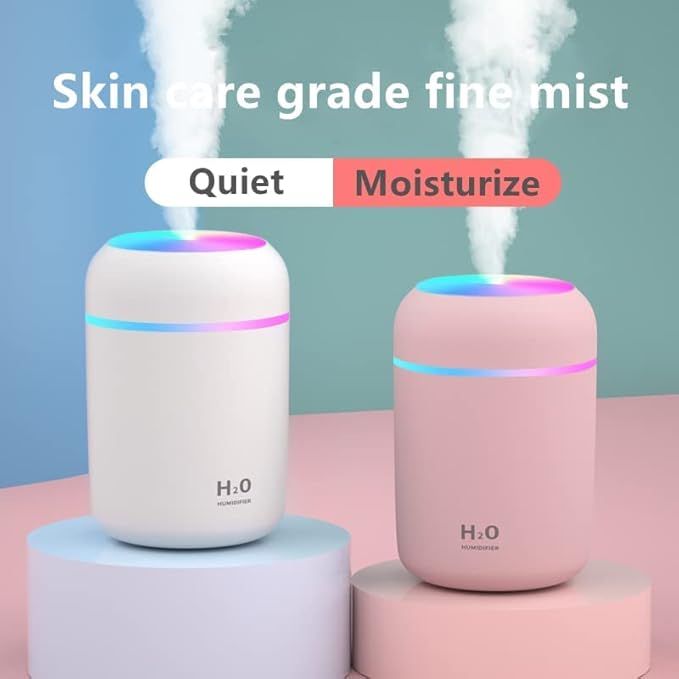 H2O Humidifier