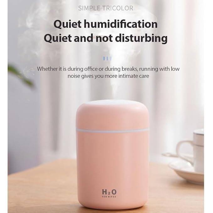 H2O Humidifier
