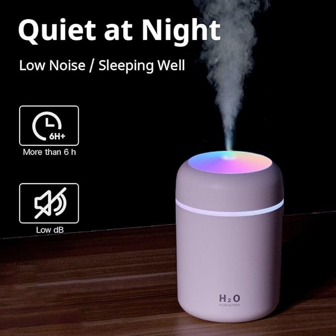 H2O Humidifier