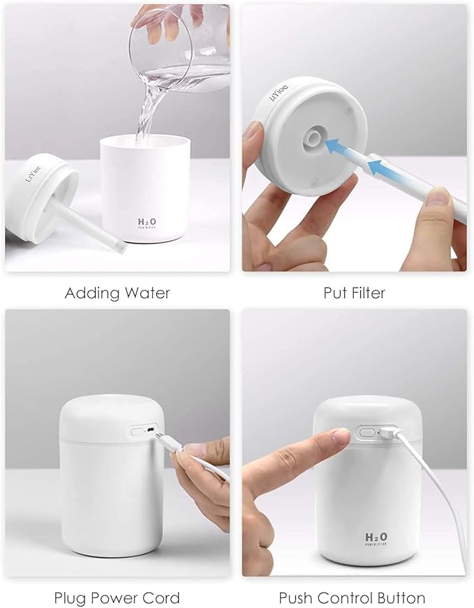 H2O Humidifier